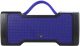 boAt Stone 1000 Portable Wireless Speaker